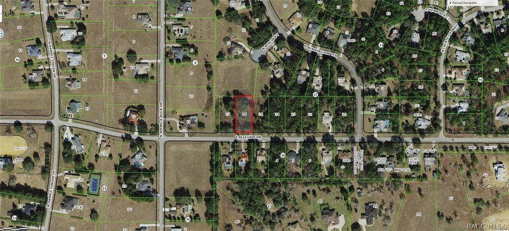 1439 E Allegrie Drive, Inverness, FL 34453