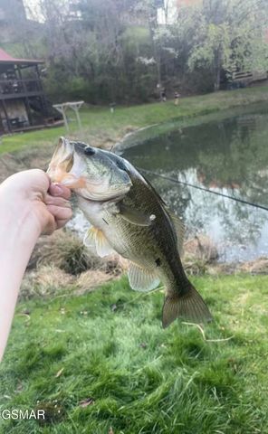 448 Hideaway Ridge Circle, Sevierville, TN 37862