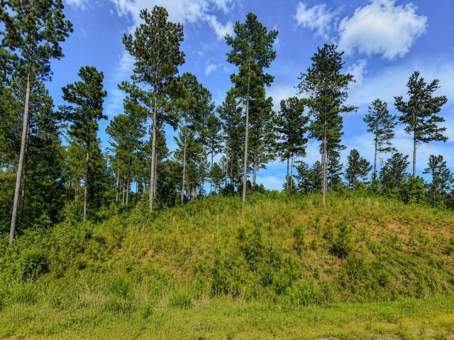 Lot 62 Seven Mile Creek Road, Talking Rock, GA 30175