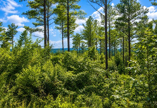 Lot 62 Seven Mile Creek Road, Talking Rock, GA 30175