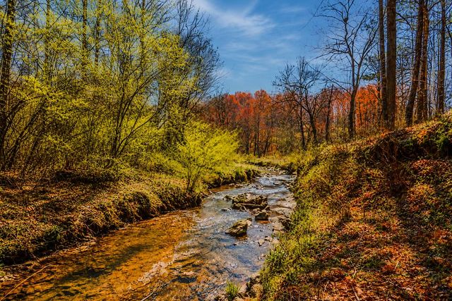 Lot 62 Seven Mile Creek Road, Talking Rock, GA 30175