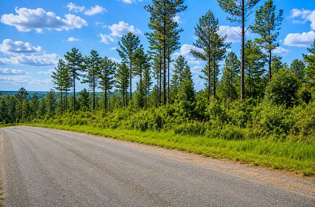 Lot 62 Seven Mile Creek Road, Talking Rock, GA 30175