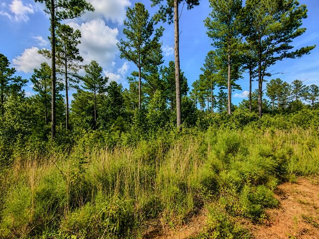 Lot 62 Seven Mile Creek Road, Talking Rock, GA 30175