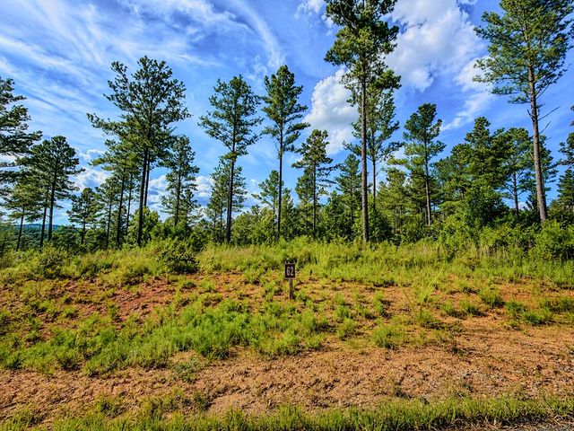 Lot 62 Seven Mile Creek Road, Talking Rock, GA 30175