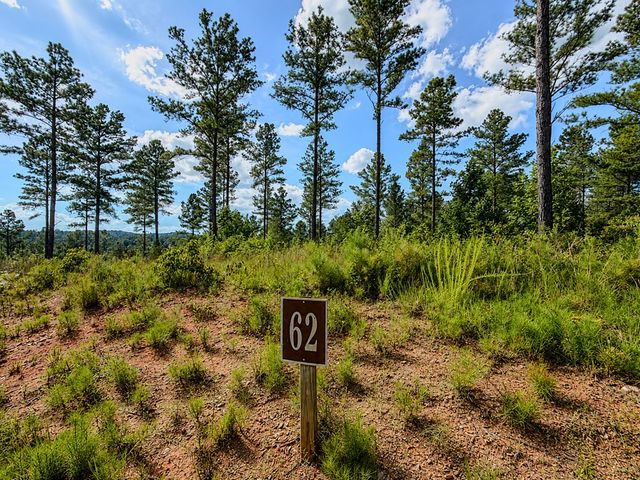 Lot 62 Seven Mile Creek Road, Talking Rock, GA 30175