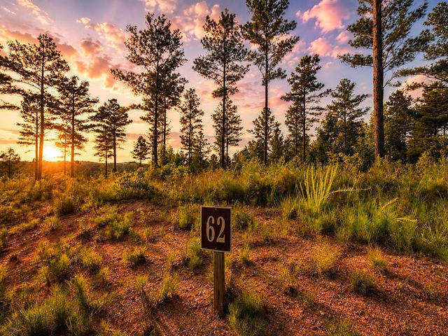 Lot 62 Seven Mile Creek Road, Talking Rock, GA 30175