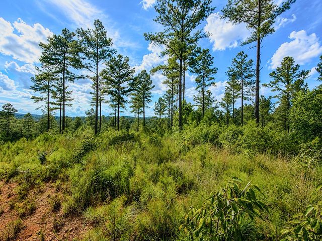 Lot 62 Seven Mile Creek Road, Talking Rock, GA 30175