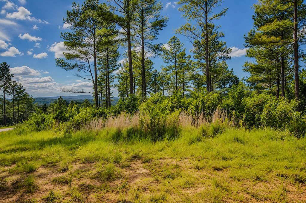 Lot 62 Seven Mile Creek Road, Talking Rock, GA 30175