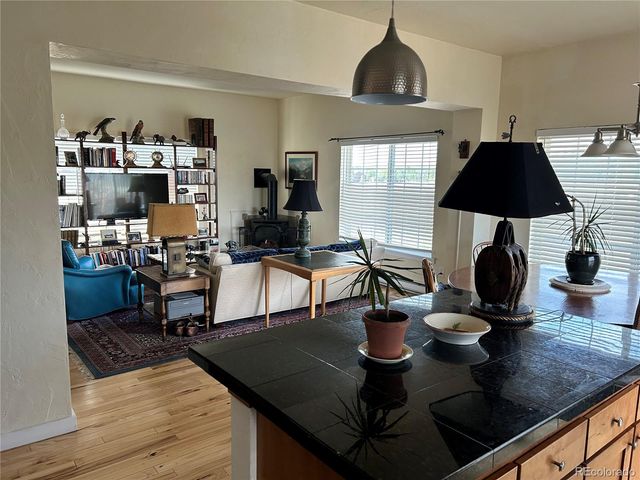 439 Fuller Drive 44A, Fairplay, CO 80440