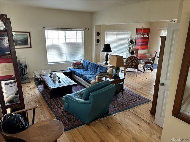 439 Fuller Drive 44A, Fairplay, CO 80440