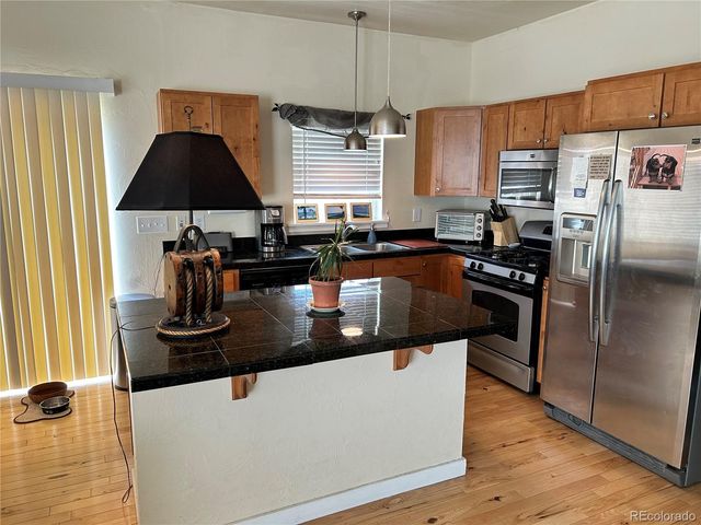 439 Fuller Drive 44A, Fairplay, CO 80440