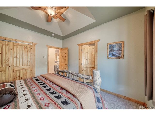 31055 Kodiak Ct, Buena Vista, CO 81211