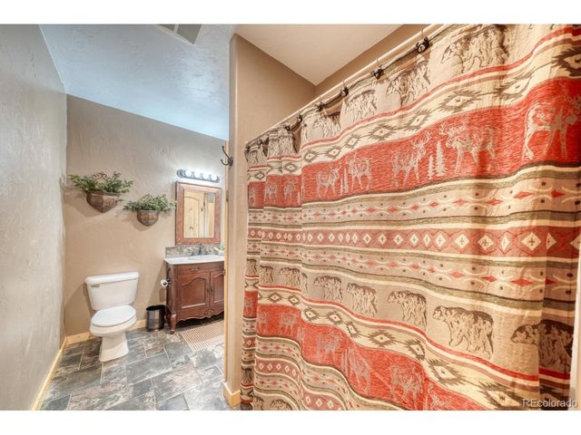 31055 Kodiak Ct, Buena Vista, CO 81211