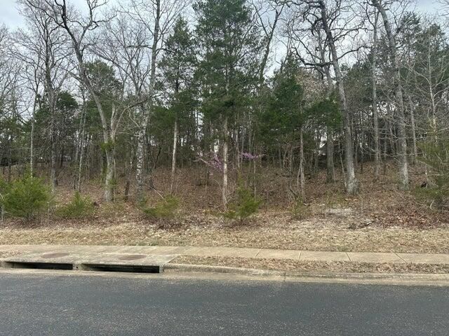 Lot 63 Royal Dornoch Drive, Branson, MO 65616