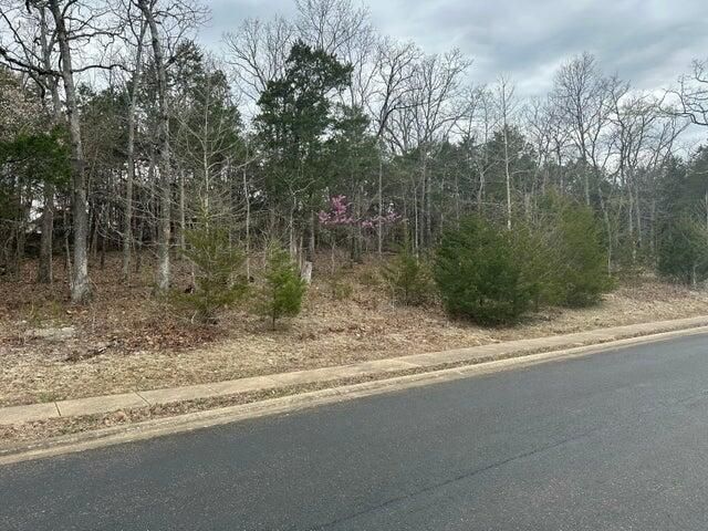 Lot 63 Royal Dornoch Drive, Branson, MO 65616
