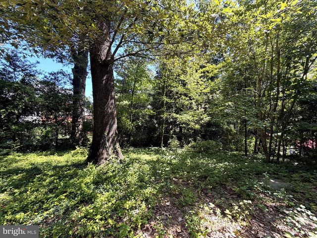 3123 MILITARY RD N, Arlington, VA 22207