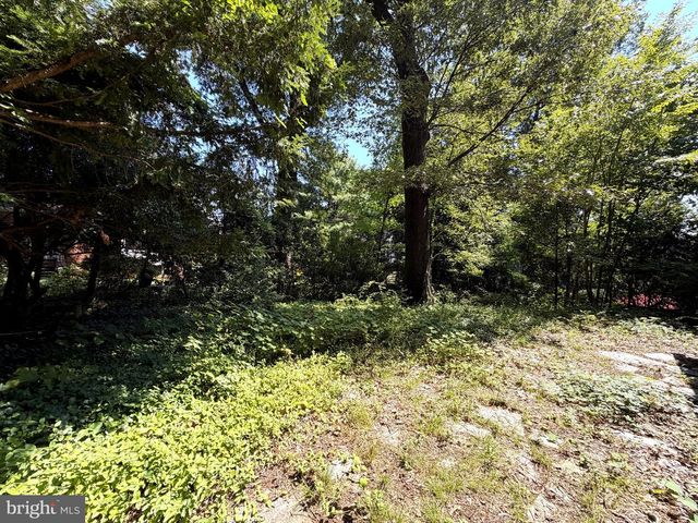 3123 MILITARY RD N, Arlington, VA 22207
