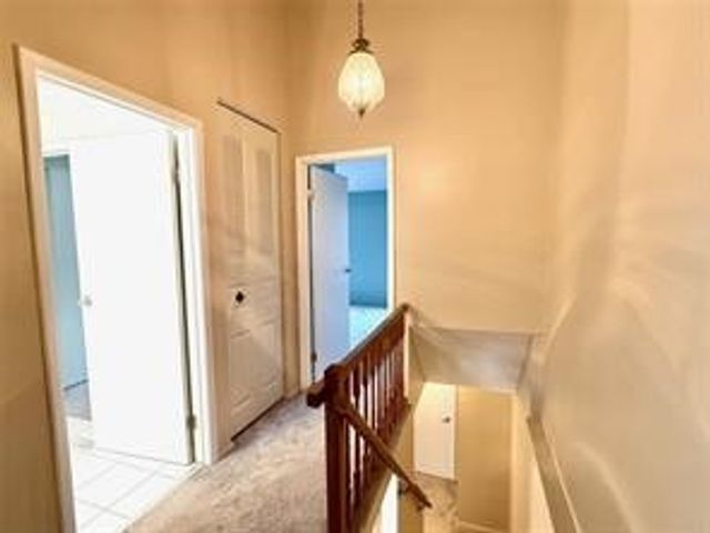 115 Saxonwald Ln, Castle Shannon, PA 15234
