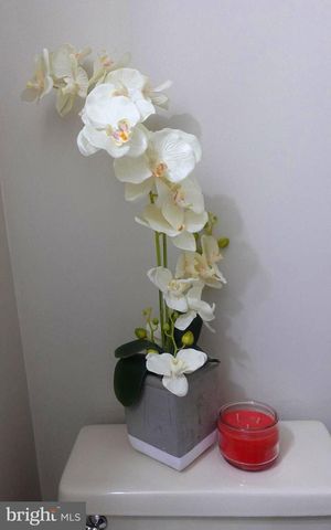 8307 SATINLEAF CT, Bowie, MD 20715