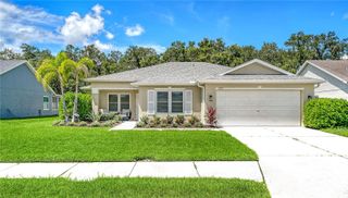 4005 DOUGLAS HILL PLACE, Parrish, FL 34219
