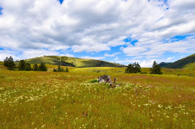Tract 2 Henry Creek Road, Plains, MT 59859 property photo