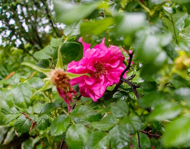 39437 County Road 3, Crosslake, MN 56442