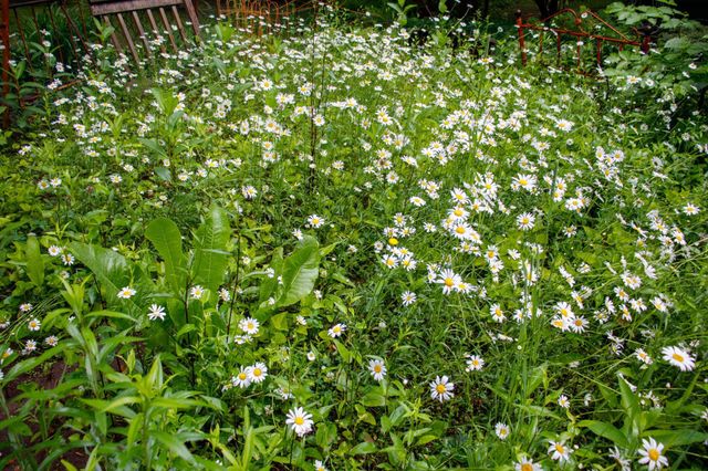 39437 County Road 3, Crosslake, MN 56442