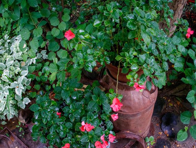 39437 County Road 3, Crosslake, MN 56442