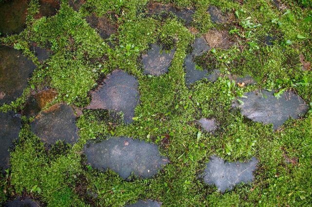 39437 County Road 3, Crosslake, MN 56442