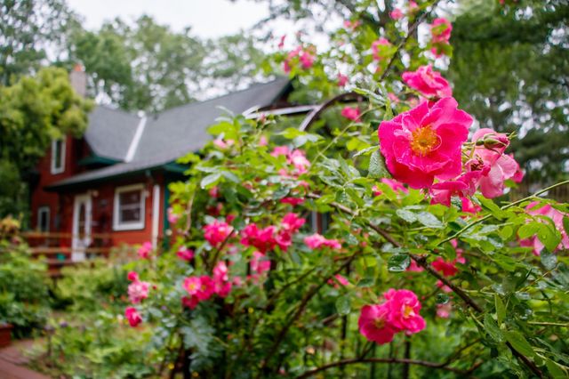 39437 County Road 3, Crosslake, MN 56442