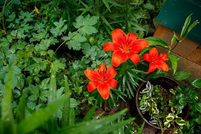 39437 County Road 3, Crosslake, MN 56442