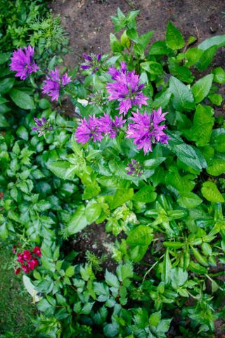 39437 County Road 3, Crosslake, MN 56442