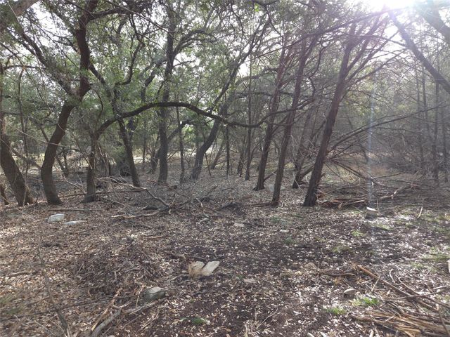 TBD Oakland RD, Georgetown, TX 78633