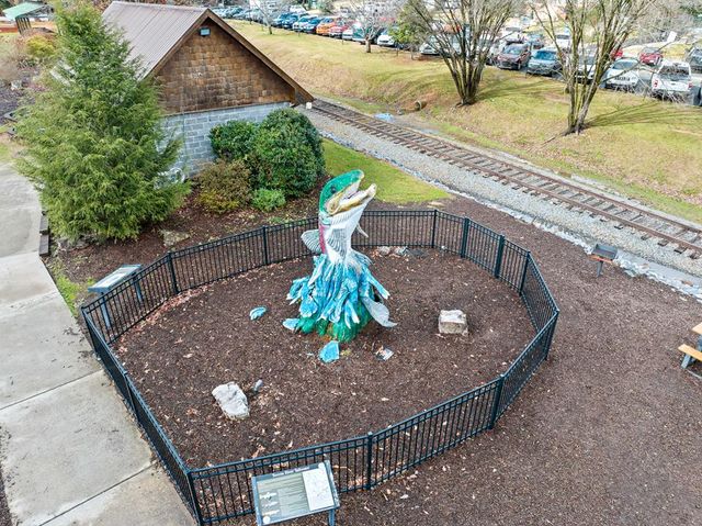 0 Dusty Danno Trail, Mineral Bluff, GA 30559