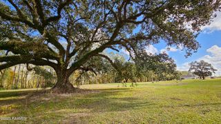 Tbd Main Highway 8-A, Arnaudville, LA 70512