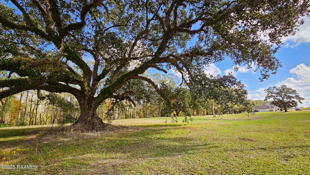 Tbd Main Highway 8-A, Arnaudville, LA 70512