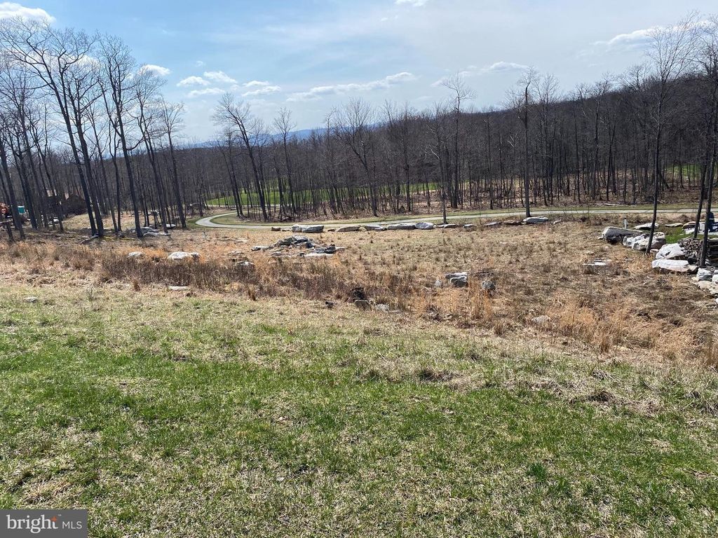 Tbd Biltmore Ridge Trail Lot 42 And 43, Mc Henry, MD 21541
