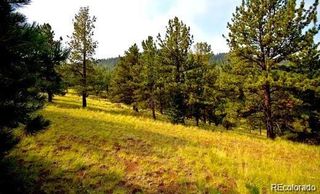 111 Isabel Claim, Cripple Creek, CO 80813