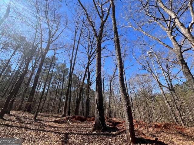 55 Key Road, Ellenwood, GA 30294