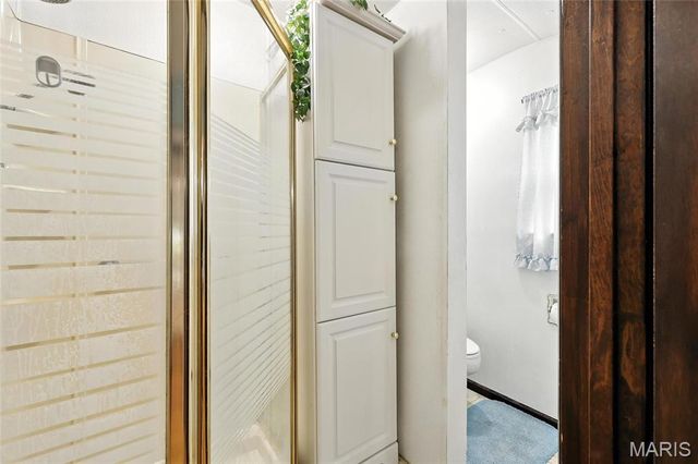 1198 Madison 250, Fredericktown, MO 63645