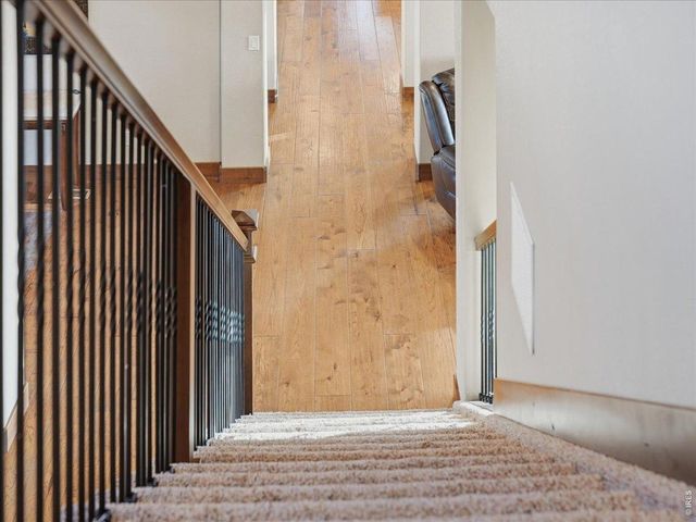 39917 Hilltop Cir, Severance, CO 80610
