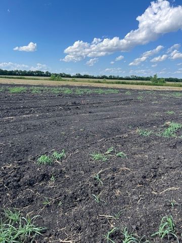 443 Schneider Road, Sherman, TX 75090