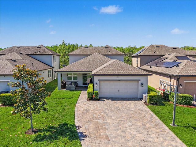 13389 BATTEN LANE, Odessa, FL 33556