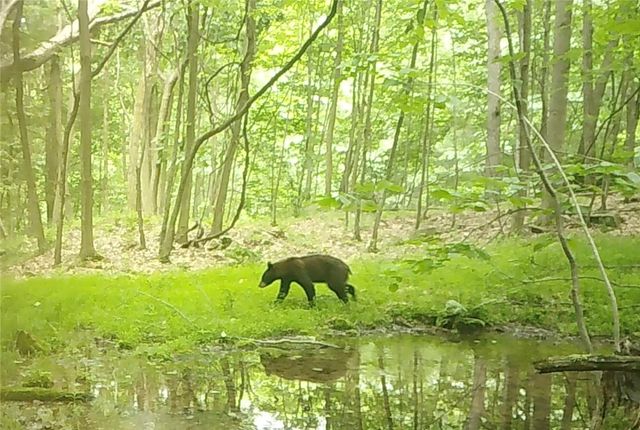 590 Astral, Cranberry Twp, PA 16323