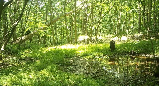 590 Astral, Cranberry Twp, PA 16323