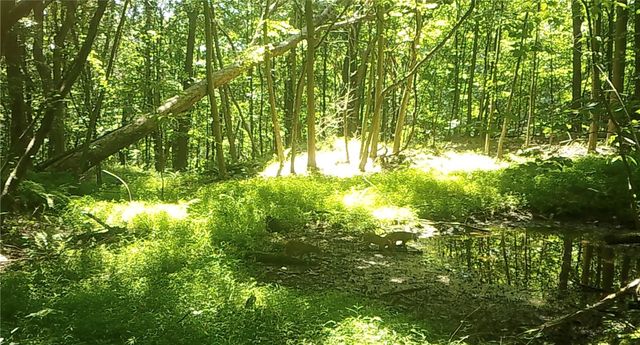 590 Astral, Cranberry Twp, PA 16323