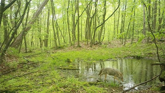 590 Astral, Cranberry Twp, PA 16323