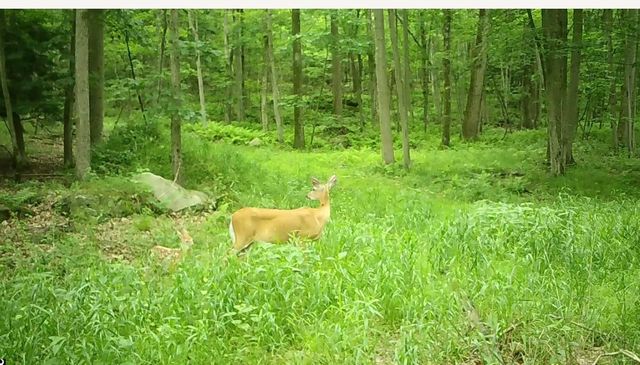 590 Astral, Cranberry Twp, PA 16323