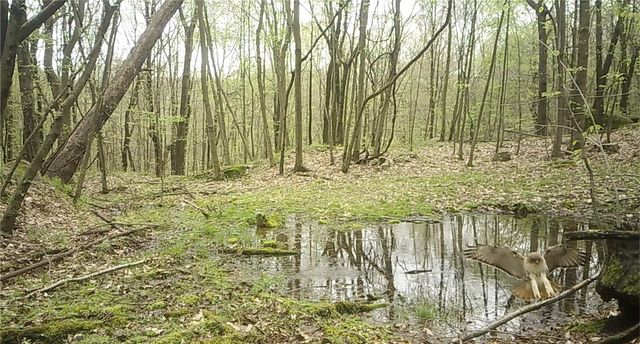 590 Astral, Cranberry Twp, PA 16323