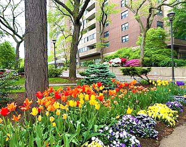 2 Hawthorne Pl 8C, Boston, MA 02114